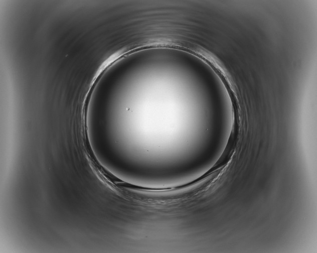 X0000087571242200704271241