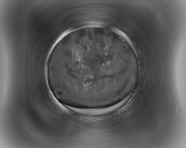 X0000087571243200704271241