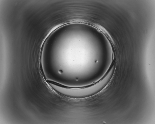 X0000087571244200704271241
