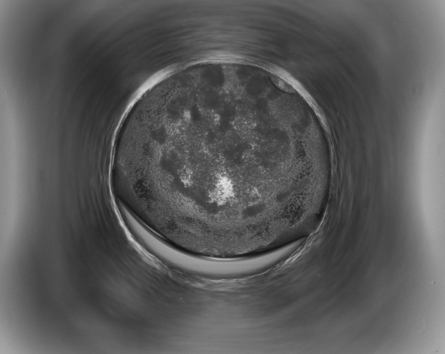 X0000087571245200704271241