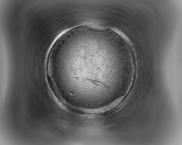 X0000087571248200704271241