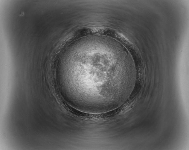X0000087571249200704271241