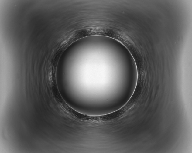 X0000087571250200704271241
