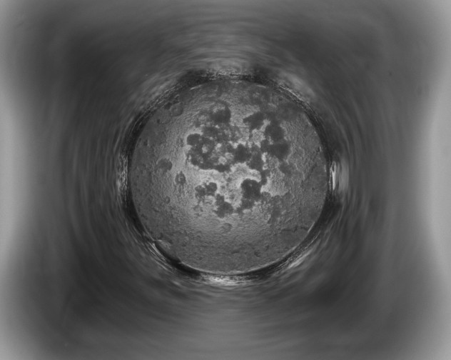 X0000087571251200704271241
