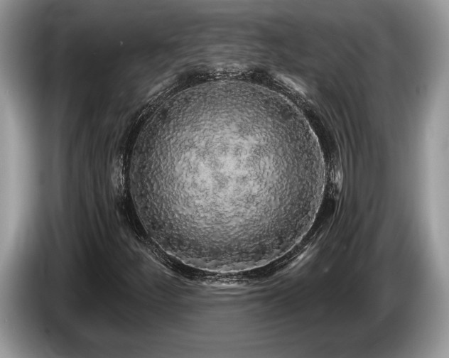 X0000087571252200704271241