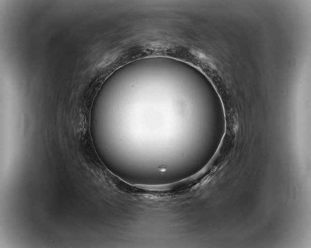 X0000087571253200704271241