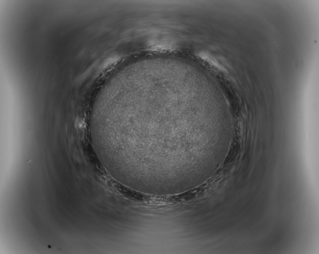 X0000087571254200704271241