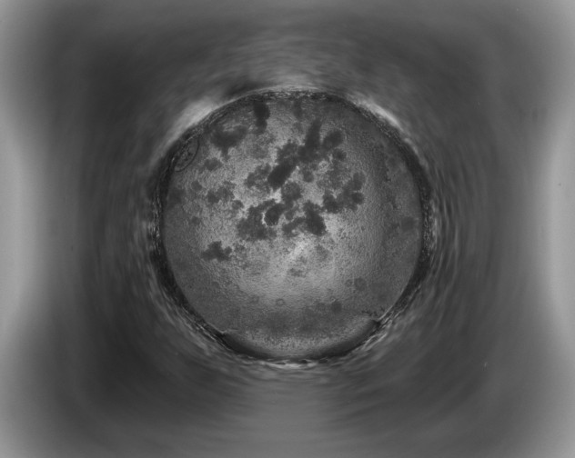 X0000087571255200704271241