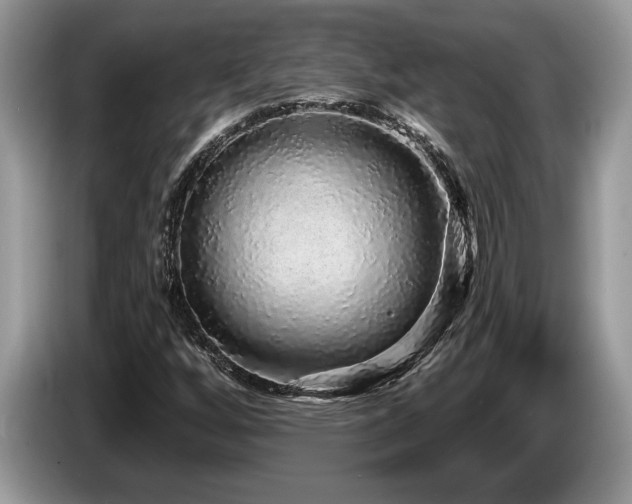 X0000087571256200704271241