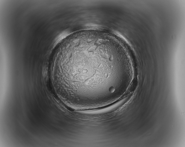 X0000087571259200704271241