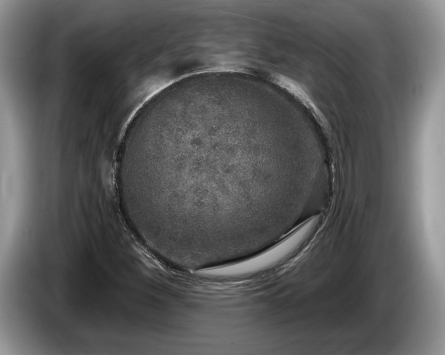X0000087571260200704271241