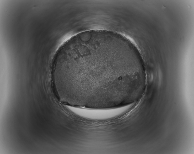 X0000087571263200704271241