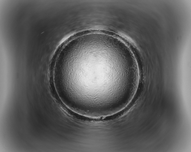 X0000087571264200704271241