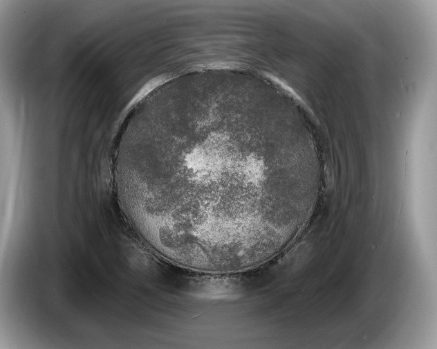 X0000087571266200704271241