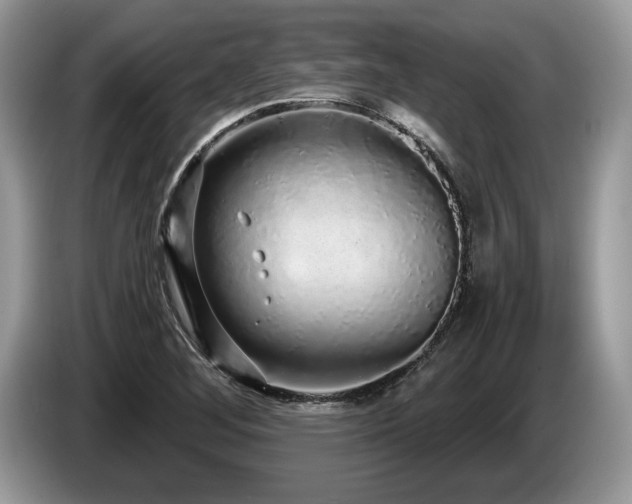 X0000087571268200704271241