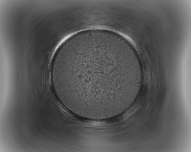 X0000087571271200704271241