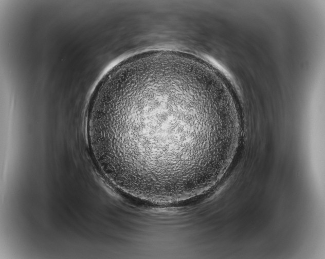 X0000087571272200704271241