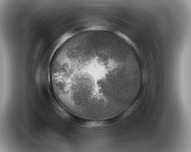 X0000087571274200704271241