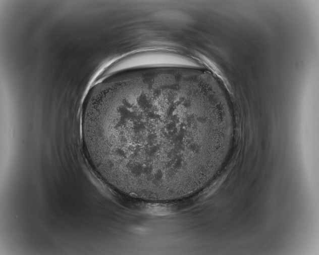 X0000087571275200704271241