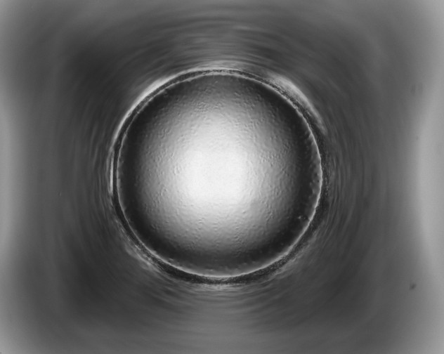 X0000087571276200704271241