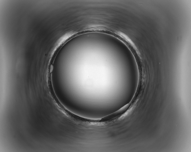 X0000087571277200704271241