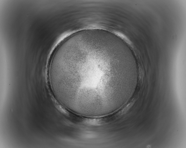 X0000087571278200704271241