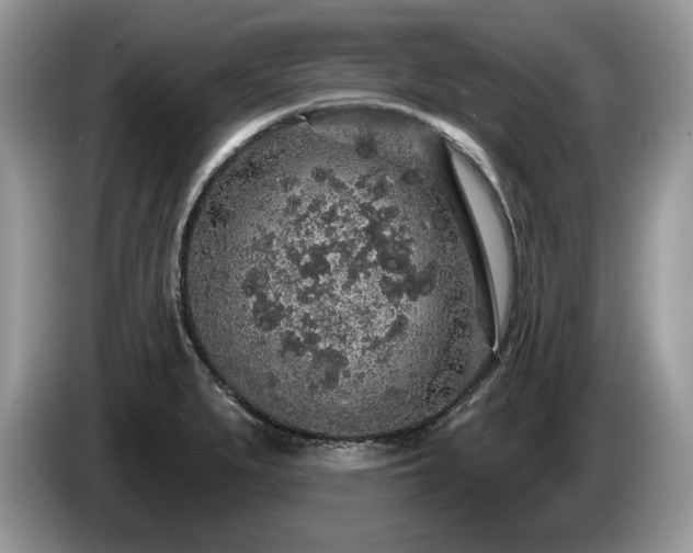 X0000087571279200704271241