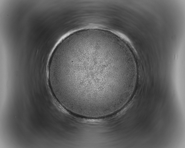 X0000087571280200704271241