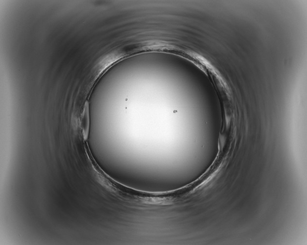 X0000087571281200704271241