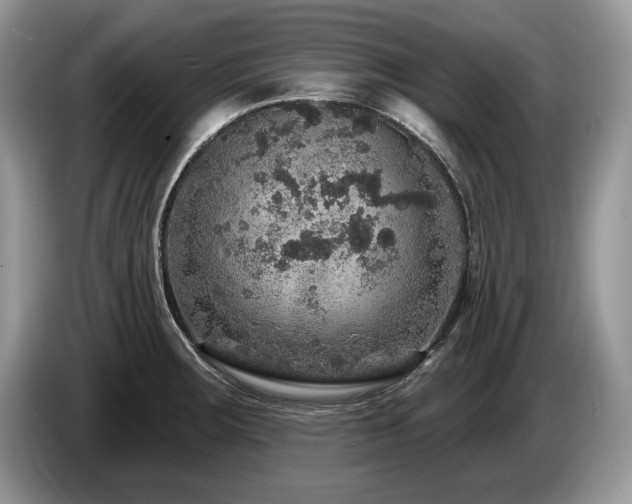 X0000087571283200704271240