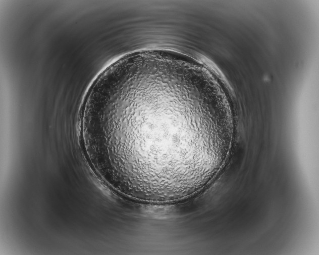 X0000087571284200704271240
