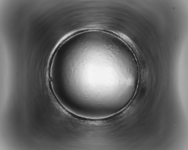 X0000087571288200704271240