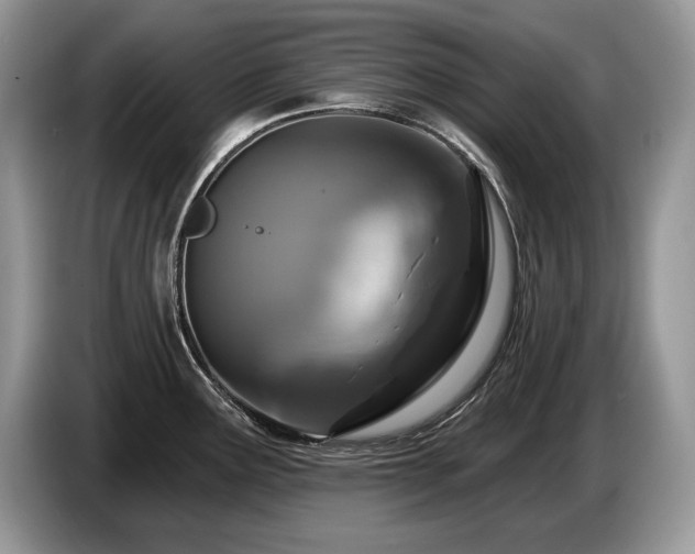 X0000087571291200704271240