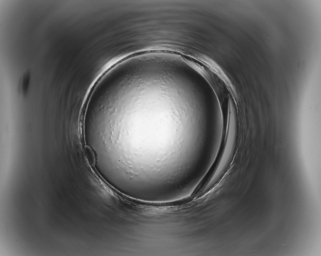 X0000087571292200704271240