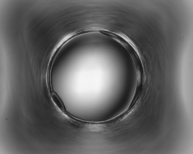 X0000087571293200704271240