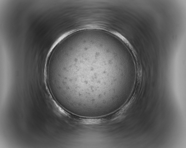 X0000087571294200704271240