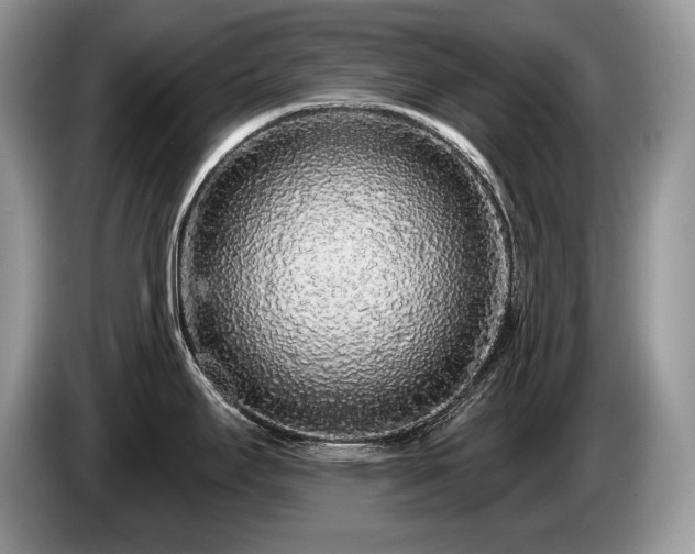 X0000087571295200704271240