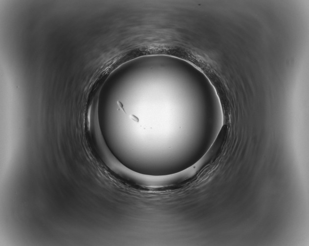 X0000087571300200704271240