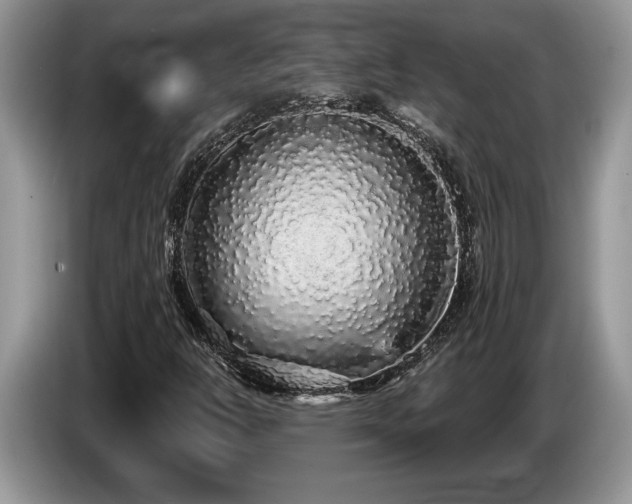 X0000087571302200704271240