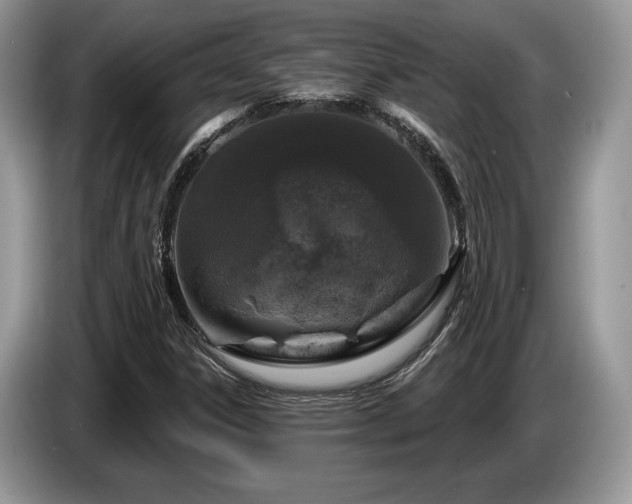 X0000087571306200704271240