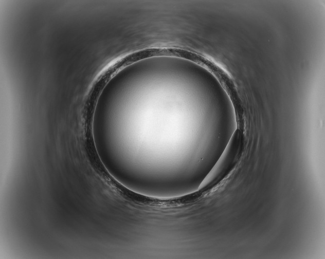 X0000087571311200704271240