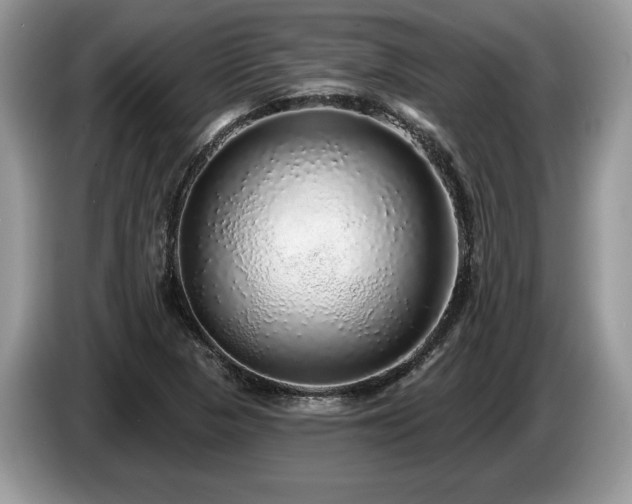 X0000087571313200704271240