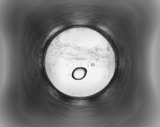 X0000087571314200704271240
