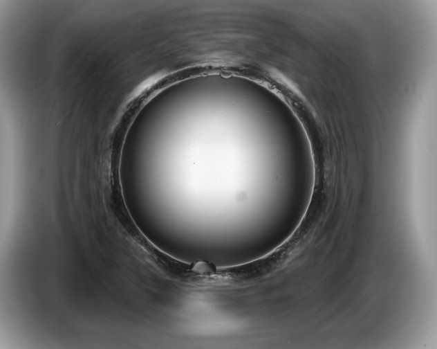 X0000087571315200704271240