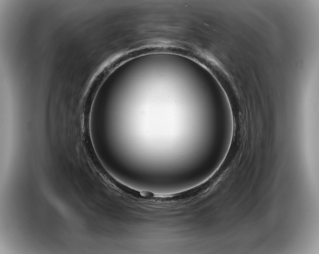 X0000087571318200704271240