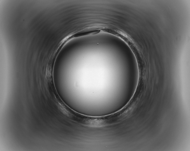 X0000087571321200704271240