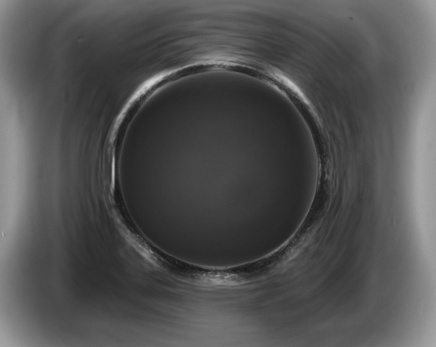 X0000087571323200704271240