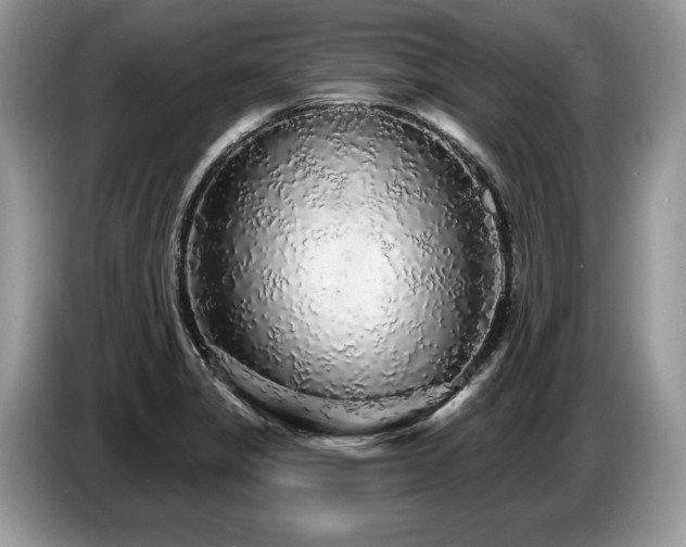X0000087571325200704271240
