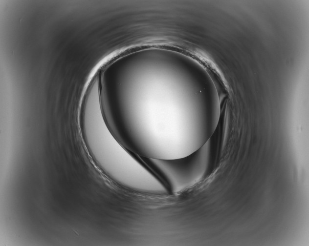 X0000087571328200704271240
