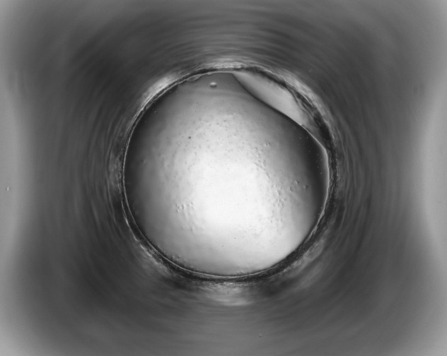 X0000087571329200704271240